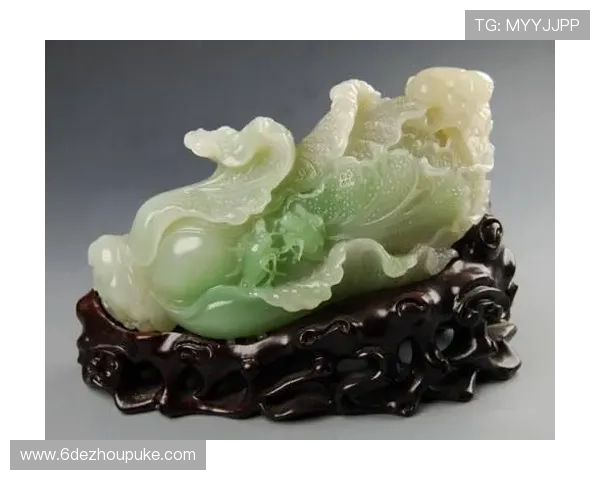 深入解析白菜网络语言的含义及其文化背景