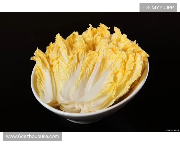 揭秘白菜分享君微信群的真实性与可靠性